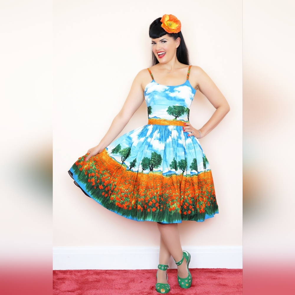 Bernie Dexter Blue and Orange Skater Dress